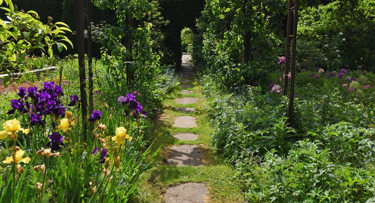 Garden Path with archway through hedge Allium and Iris in flower